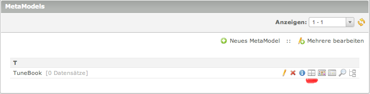 MetaModels Screen Attribute definieren.png