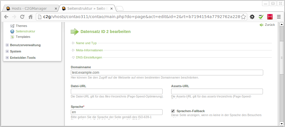 Dns einstellungen fallback.png