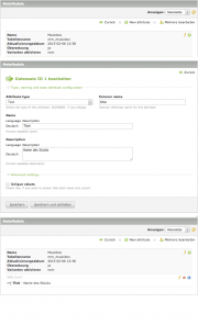 Mm attribute erfassen.png